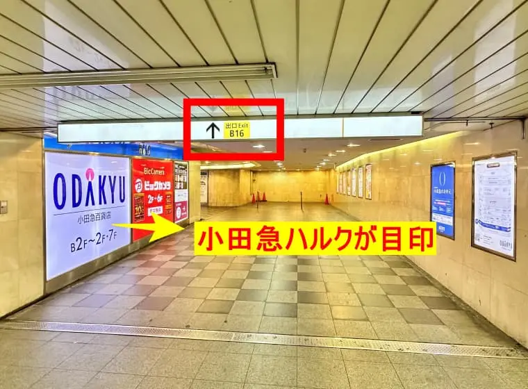 Route 02