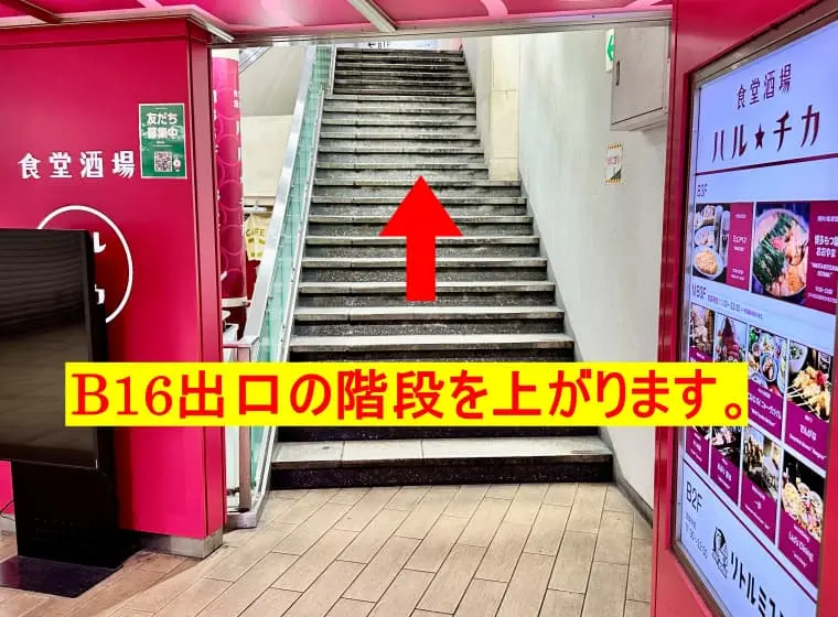 Route 04